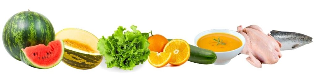 Alimentos Verao Agilcare